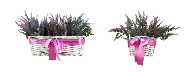 Similar image 20987291