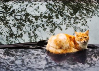 Similar image 20987303