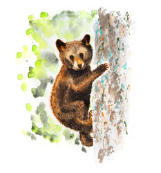 Similar image 20987611