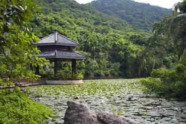 Similar image 20987612