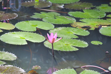 Similar image 20987613