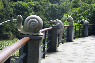 Similar image 20987615