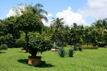 Similar image 20987627