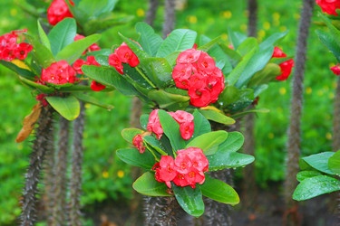 Similar image 20987631