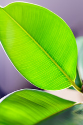 Similar image 20987977