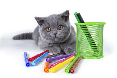 Similar image 20995801