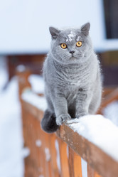 Similar image 20995802