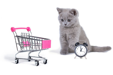 Similar image 20995806