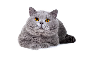 Similar image 20995807