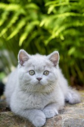 Similar image 20995811