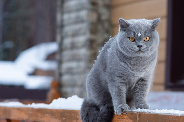 Similar image 20995814