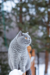 Similar image 20995815