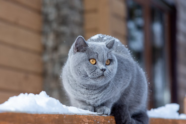 Similar image 20995816