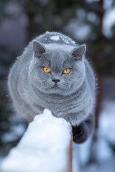 Similar image 20995817