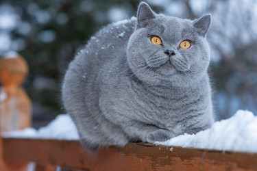 Similar image 20995818