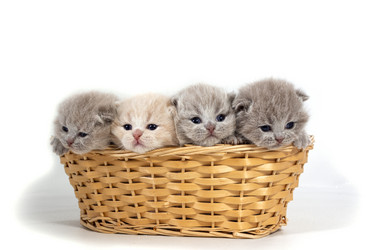 Similar image 20995819