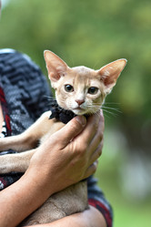 Similar image 20995828