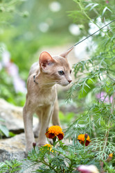 Similar image 20995832