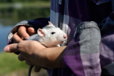 Similar image 20995847