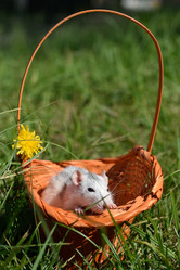 Similar image 20995851