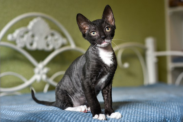 Similar image 20996287