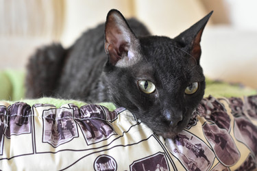 Similar image 20996288