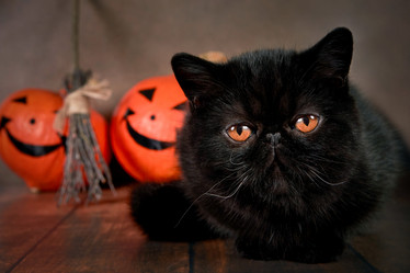 Similar image 20996312