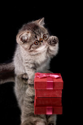 Similar image 20995870