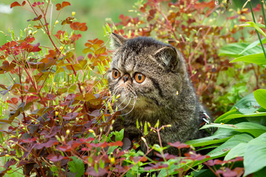 Similar image 20995879