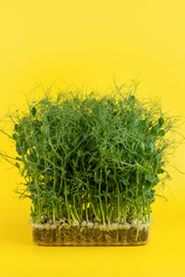 Similar image 20995892