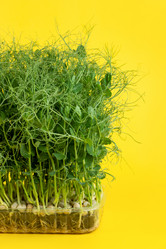 Similar image 20995901