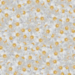 Similar image 20996021