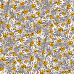 Similar image 20996024