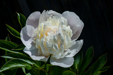 Similar image 20996039