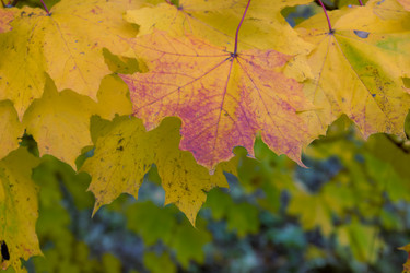 Similar image 20996040