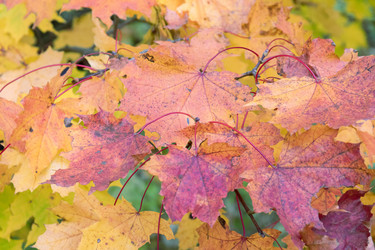 Similar image 20996041