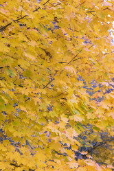 Similar image 20996042