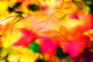 Similar image 20996044