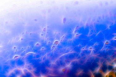 Similar image 20996045