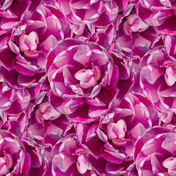 Similar image 20996046