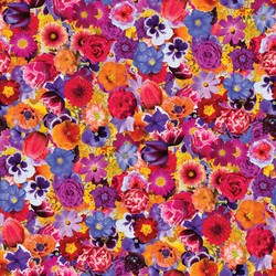 Similar image 20996059