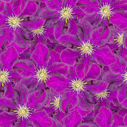 Similar image 20996060