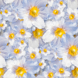 Similar image 20996061