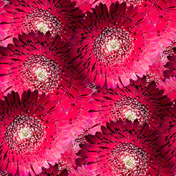 Similar image 20996064