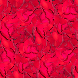 Similar image 20996065