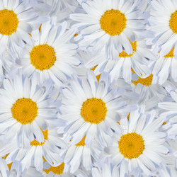 Similar image 20996066