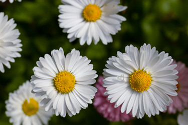 Similar image 20996139