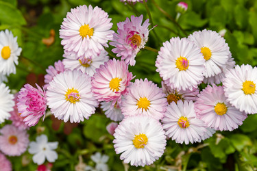 Similar image 20996141