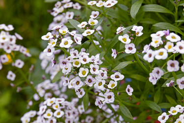 Similar image 20996142