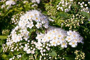 Similar image 20996143